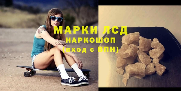 ECSTASY Ельня