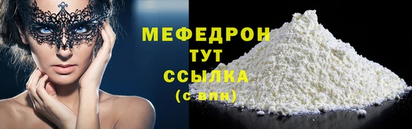 ECSTASY Ельня