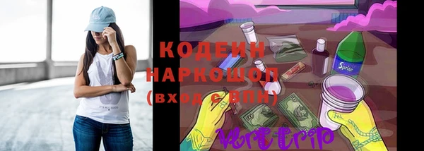 ECSTASY Ельня