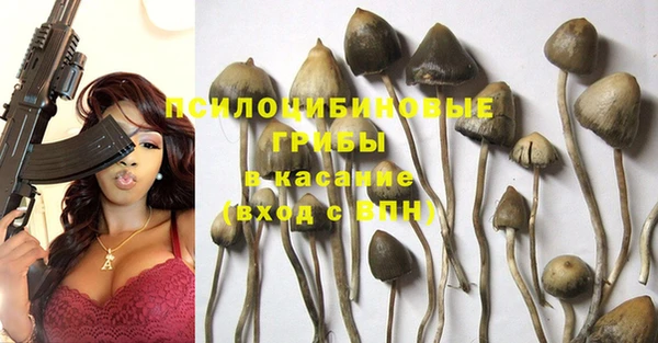 ECSTASY Ельня