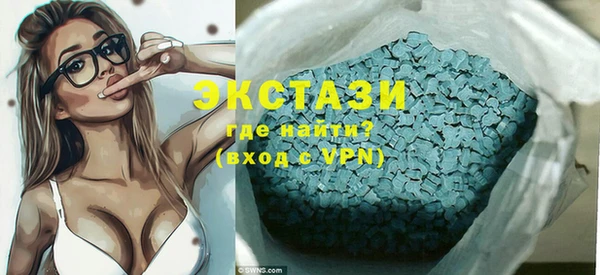 ECSTASY Ельня