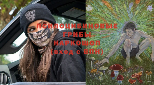 гашик Елизово