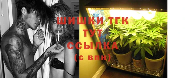 гашик Елизово
