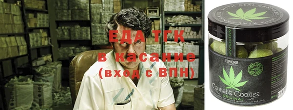 гашик Елизово