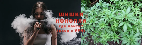 гашик Елизово