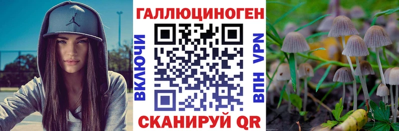 Псилоцибиновые грибы мицелий  Купить закладки  Болохово 