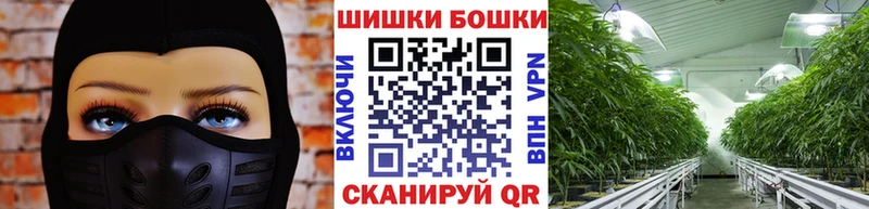 Шишки марихуана планчик Купить закладки Болохово